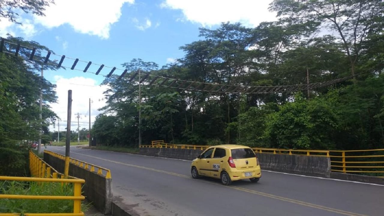 Actualmente hay 17 pasafaunas ubicados en vías principales del Meta.