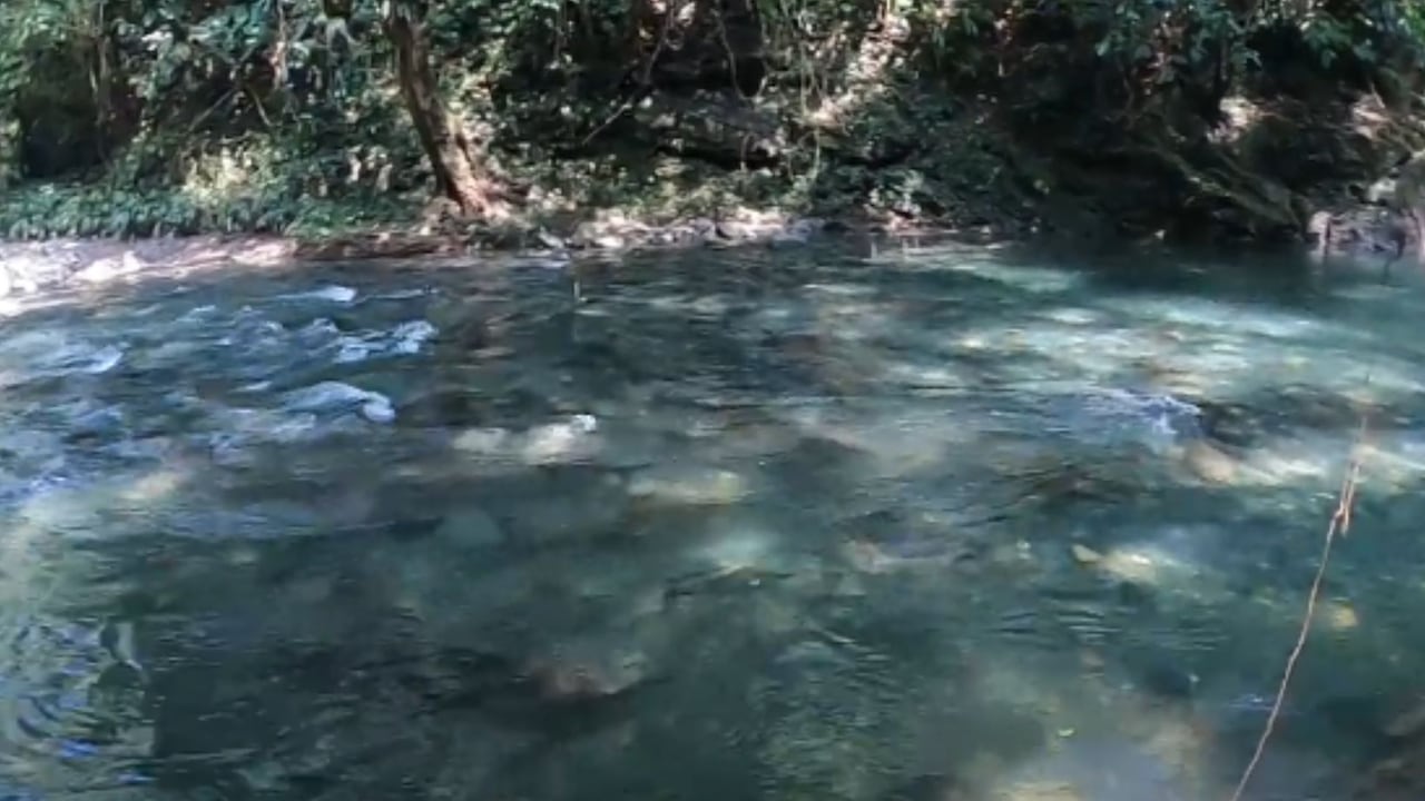 Una de esas maravillas naturales que no debería faltar en la agenda es el río Melcocho, que está situado a unas tres horas de Medellín.