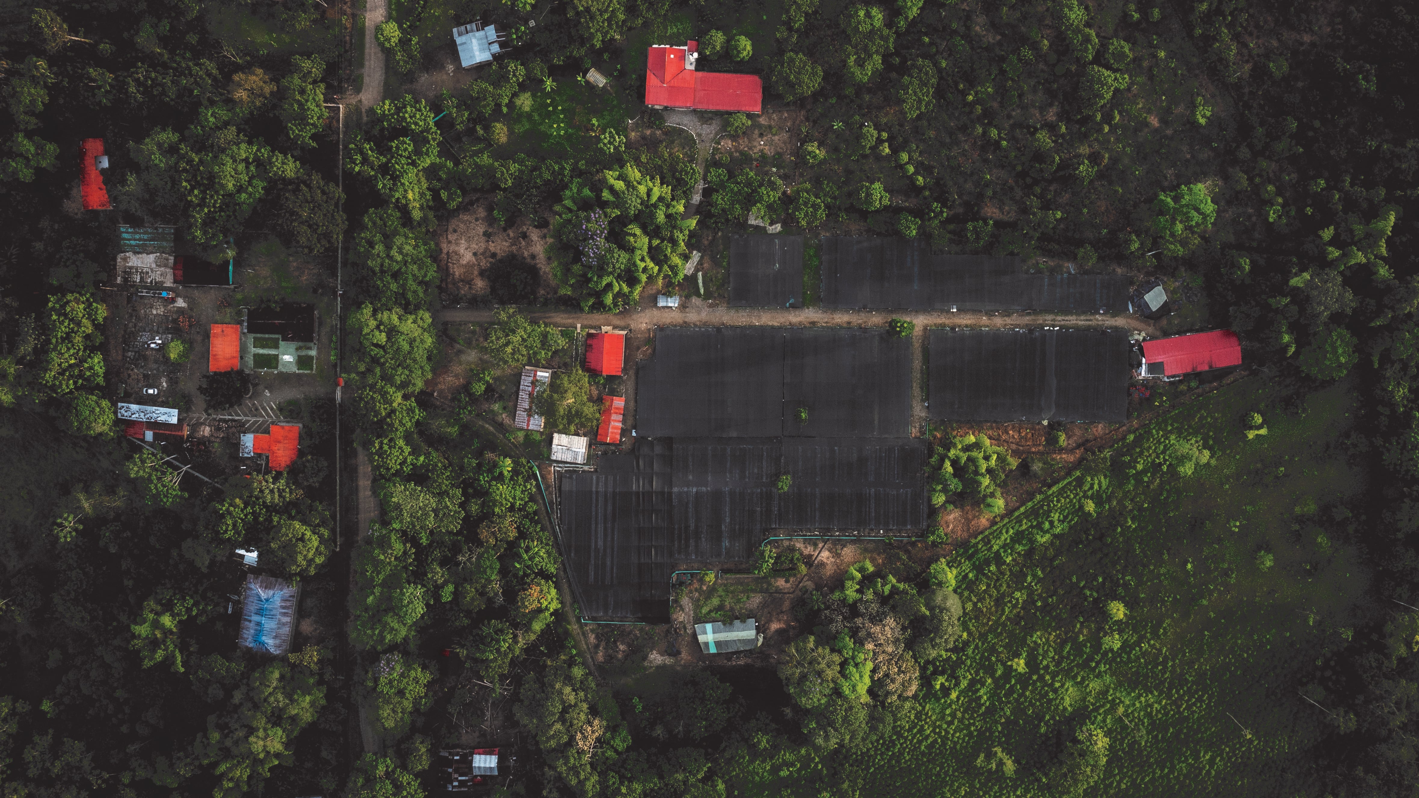 Naturamazonas, una alianza que transforma la vida de las comunidades del Putumayo, Cauca y Caquetá