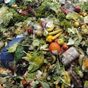 El desperdicio de alimento causa graves afectaciones al medio ambiente. Foto: FAO