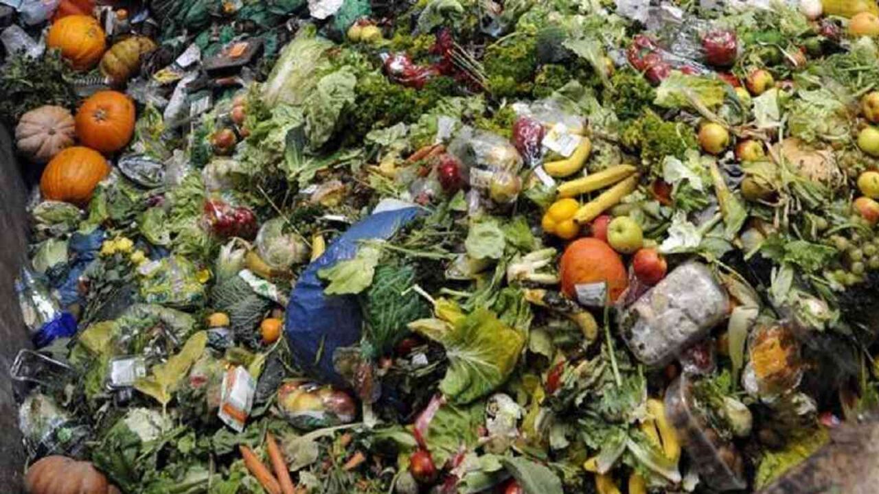 El desperdicio de alimento causa graves afectaciones al medio ambiente. Foto: FAO