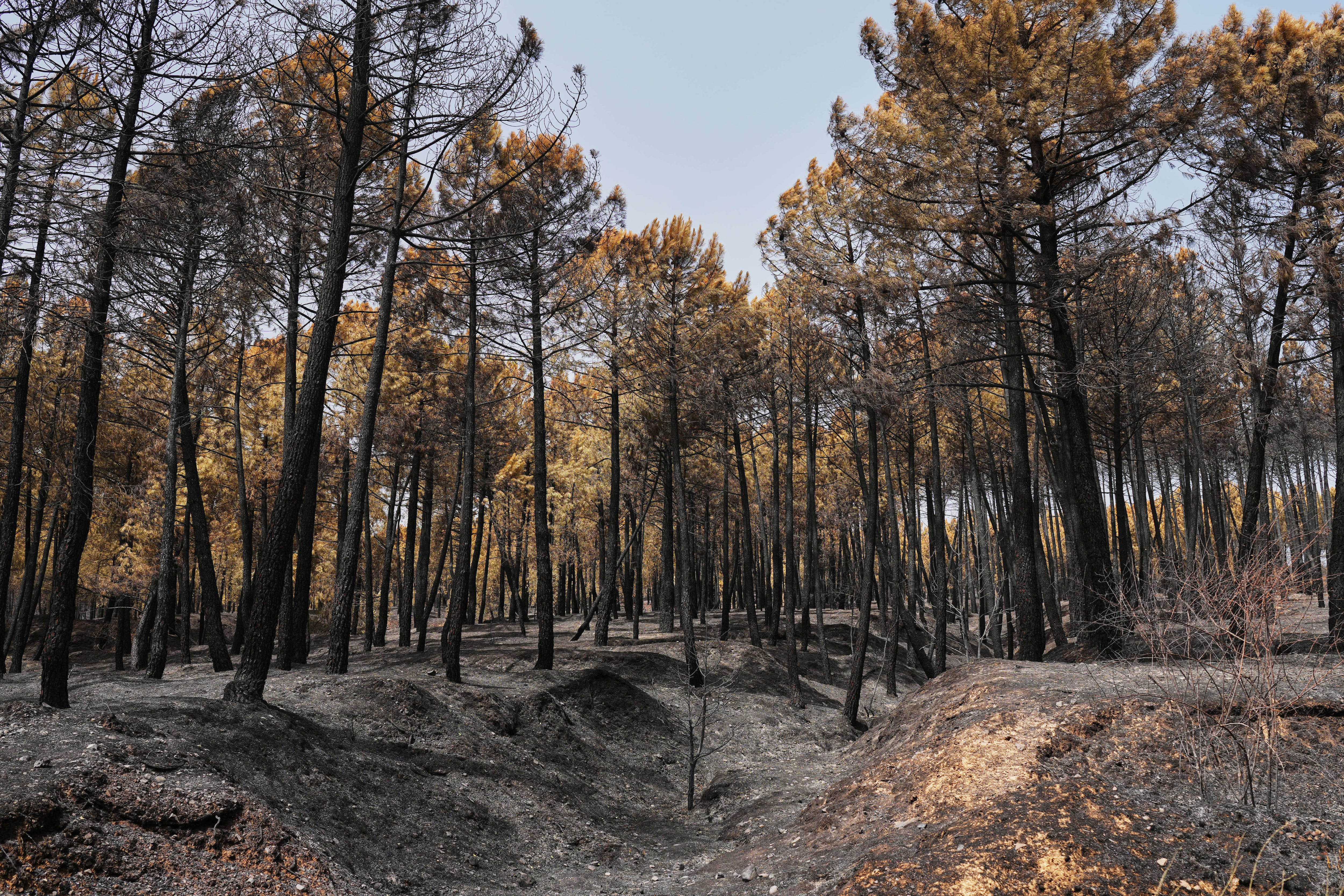 Vista de la provincia de Muriel, en Guadalajara, España, afectada por los incendios forestales.