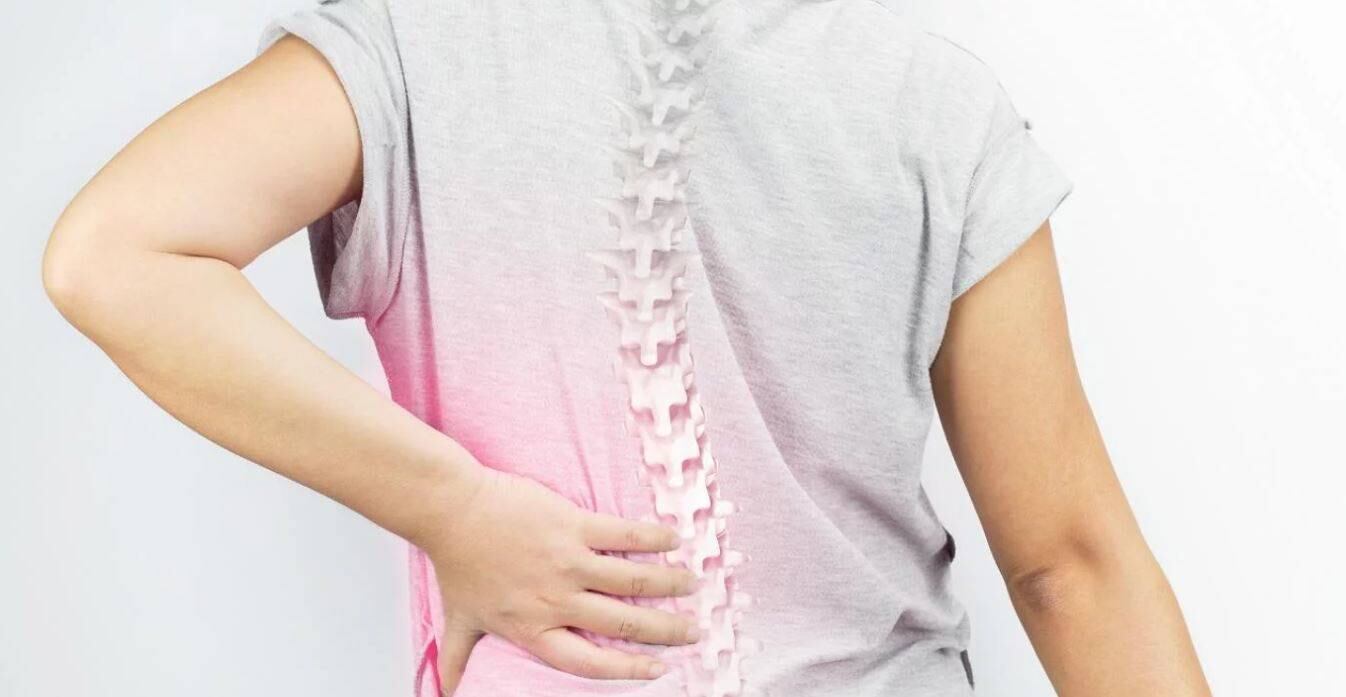 Los médicos saben que el mieloma comienza con la presencia de células plasmáticas anormales en la médula ósea, el tejido blando que produce células sanguíneas y que se encuentra en el interior de la mayoría de los huesos. 