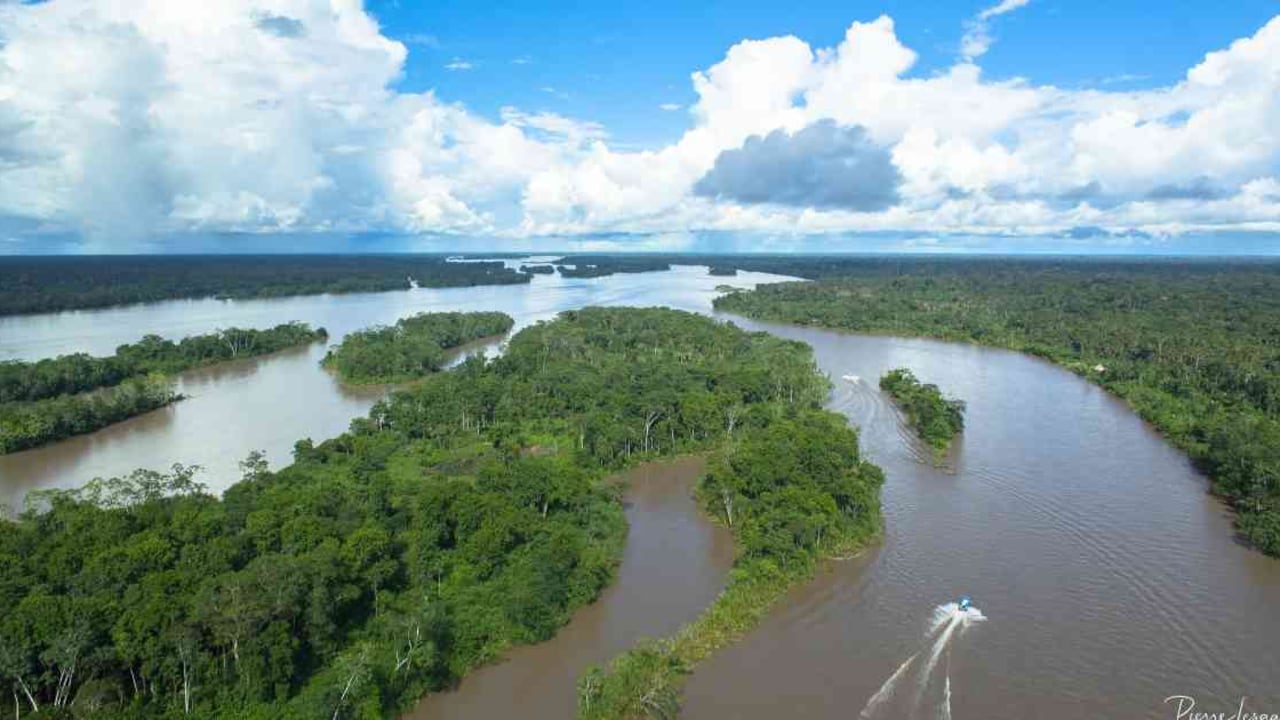 La cuenca del río Napo es uno de los sitios más diversos en cuanto a especies de agua dulce. Foto: Pierre Lesage.