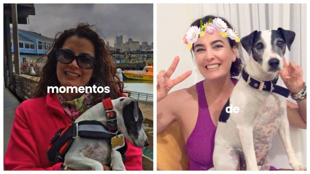 Ruddy Rodríguez anunció la muerte de su mascota.