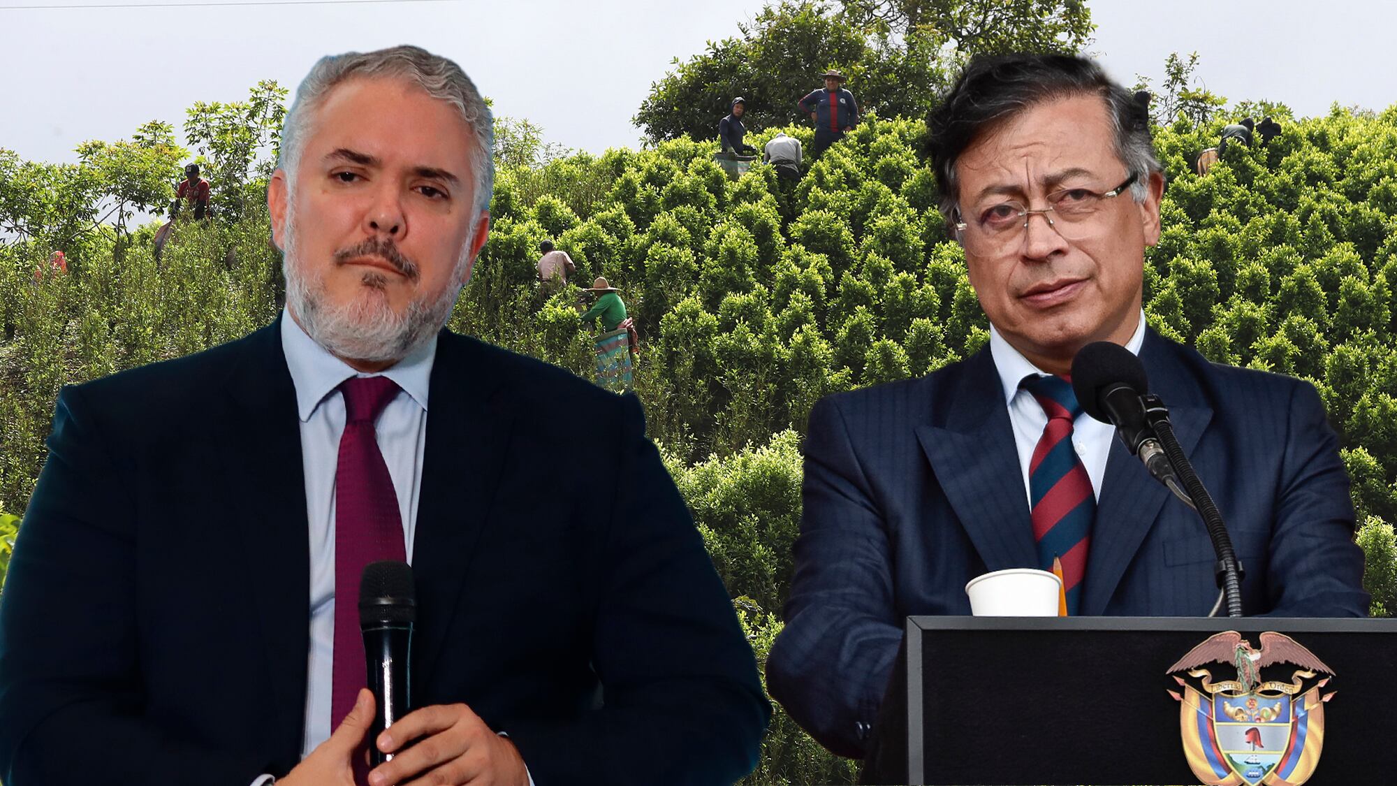 Iván Duque, Gustavo Petro cultivos de coca