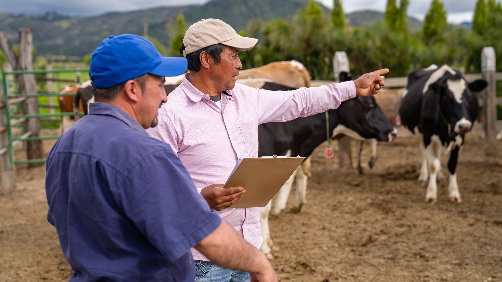 Los bancos se trasladan hasta los lugares más apartados de las regiones atender las necesidades de los micro y pequeños empresarios.