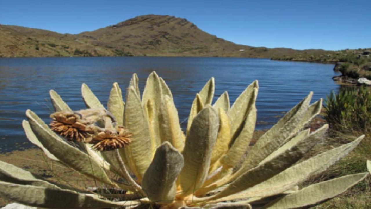 Páramo y laguna de Sincunsí, en Boyacá.