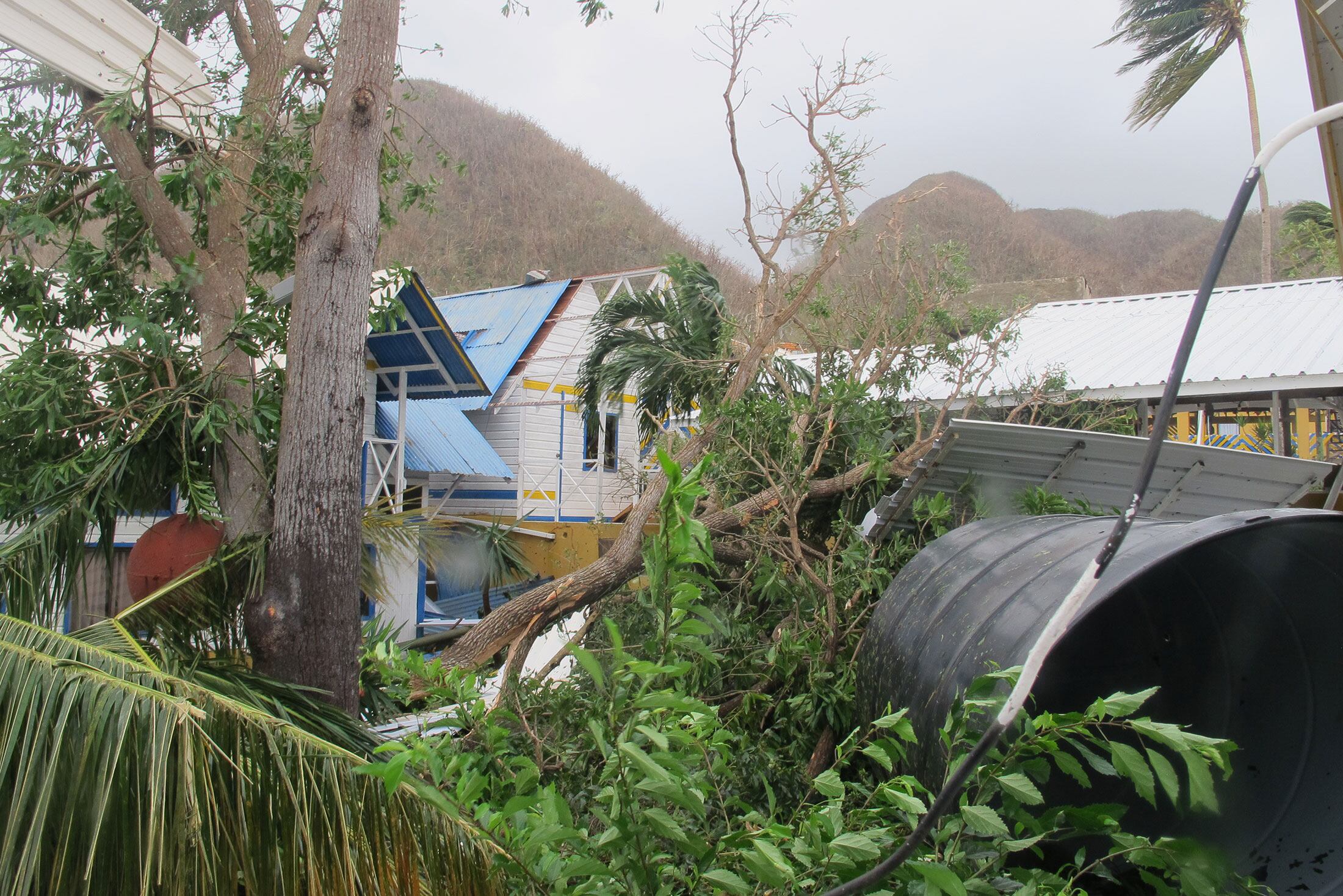 Providencia Iota - 11