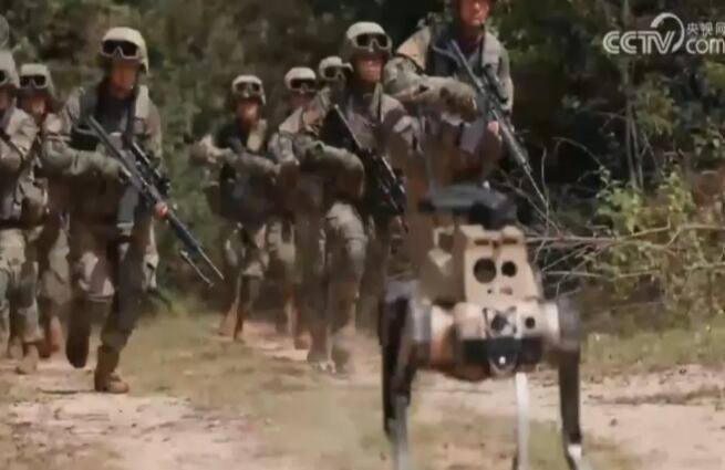 Estas máquinas cargaron equipo, escalaron pendientes y despejaron posiciones en minutos.