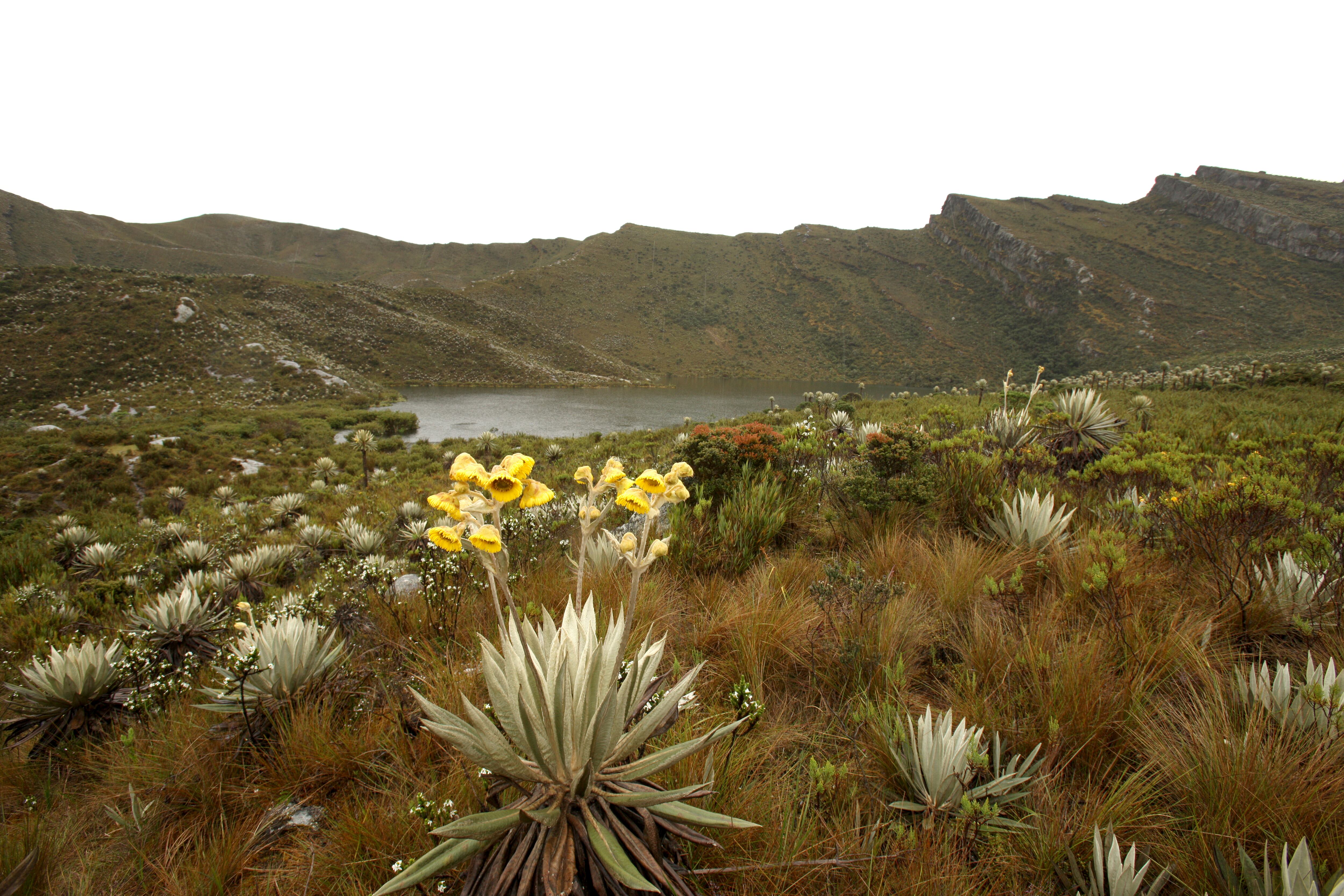 PARQUE NATURAL PARAMO