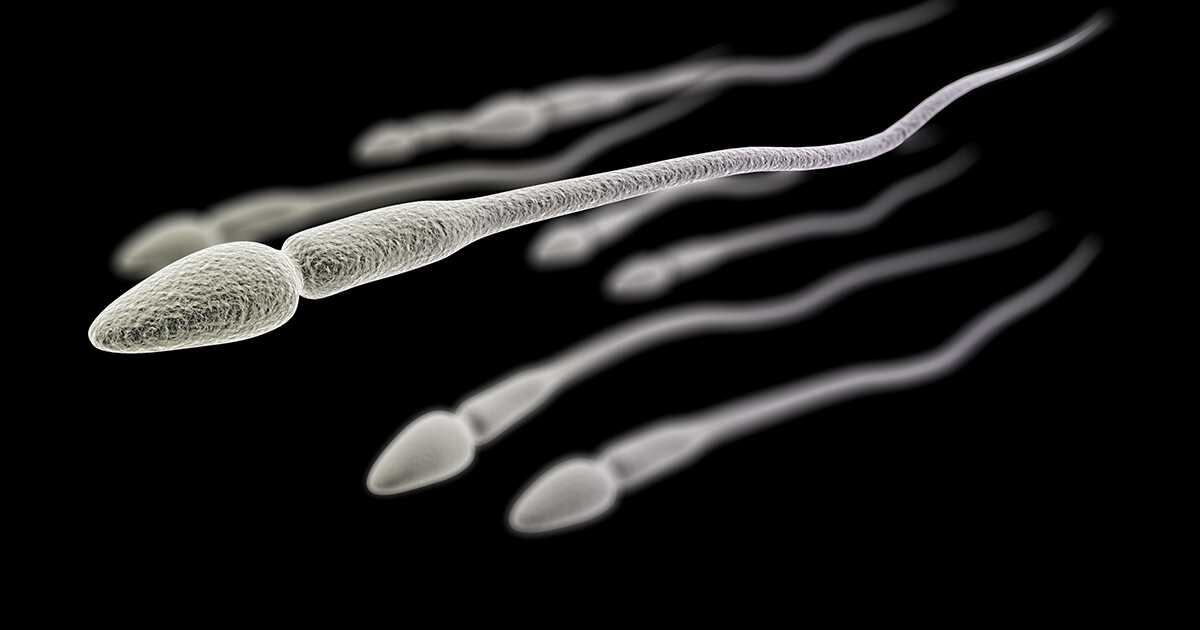 Las pruebas recientes indican que la infección por covid-19 puede reducir la fertilidad masculina.