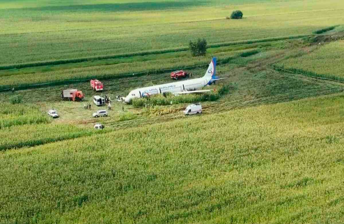 En esta captura de video proporcionada por la televisión rusa RU-RTR, se ve un avión A321 de Russian Ural Airlines luego de un aterrizaje de emergencia en un campo de maíz cerca de Ramenskoye, en las afueras de Moscú, Rusia, el jueves 15 de agosto de 2019. (Televisión rusa RU-RTR vía AP)
