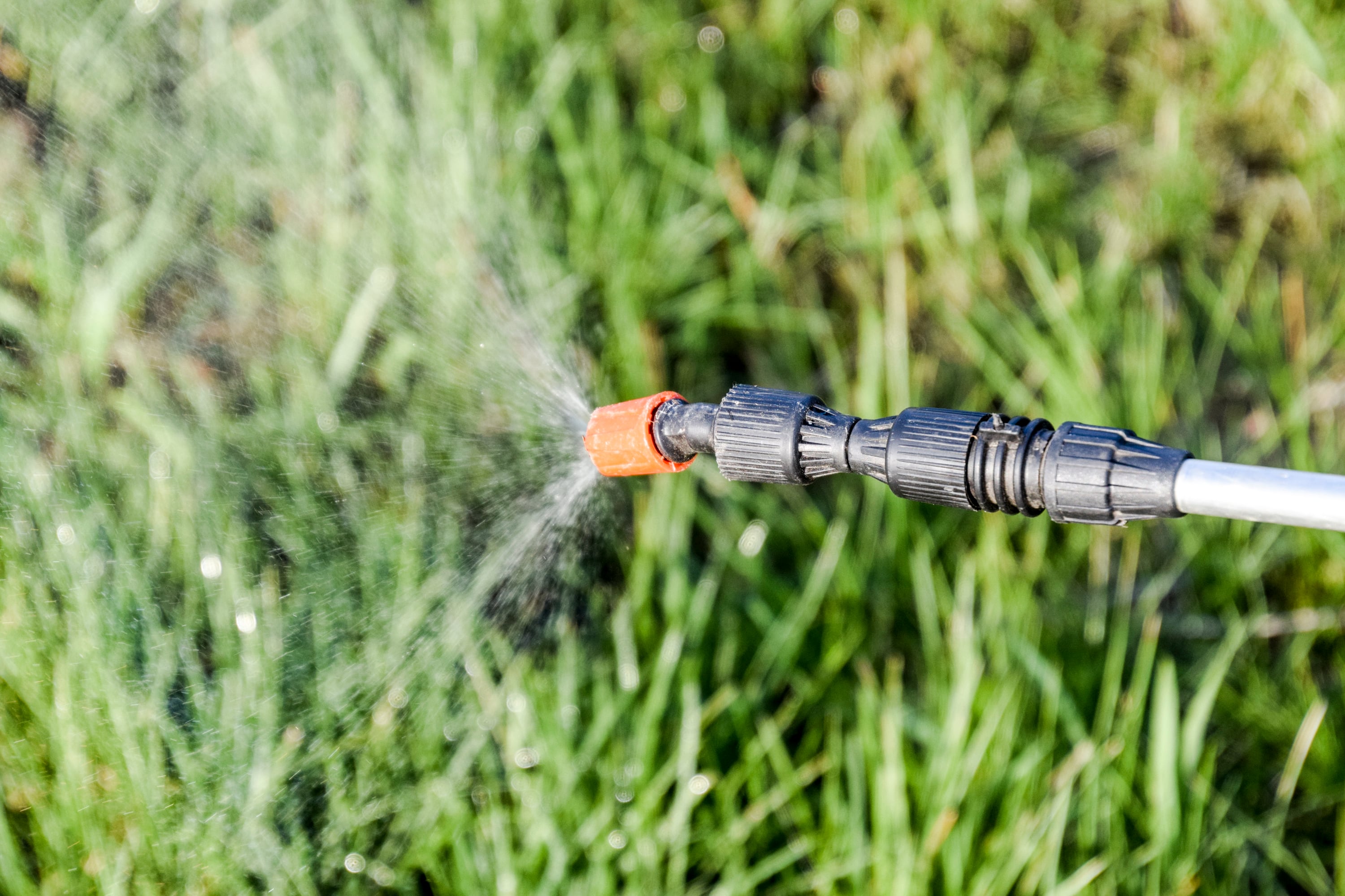 Glifosato - Pulverización de herbicida desde la boquilla del pulverizador manual