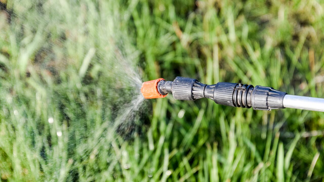 Glifosato - Pulverización de herbicida desde la boquilla del pulverizador manual