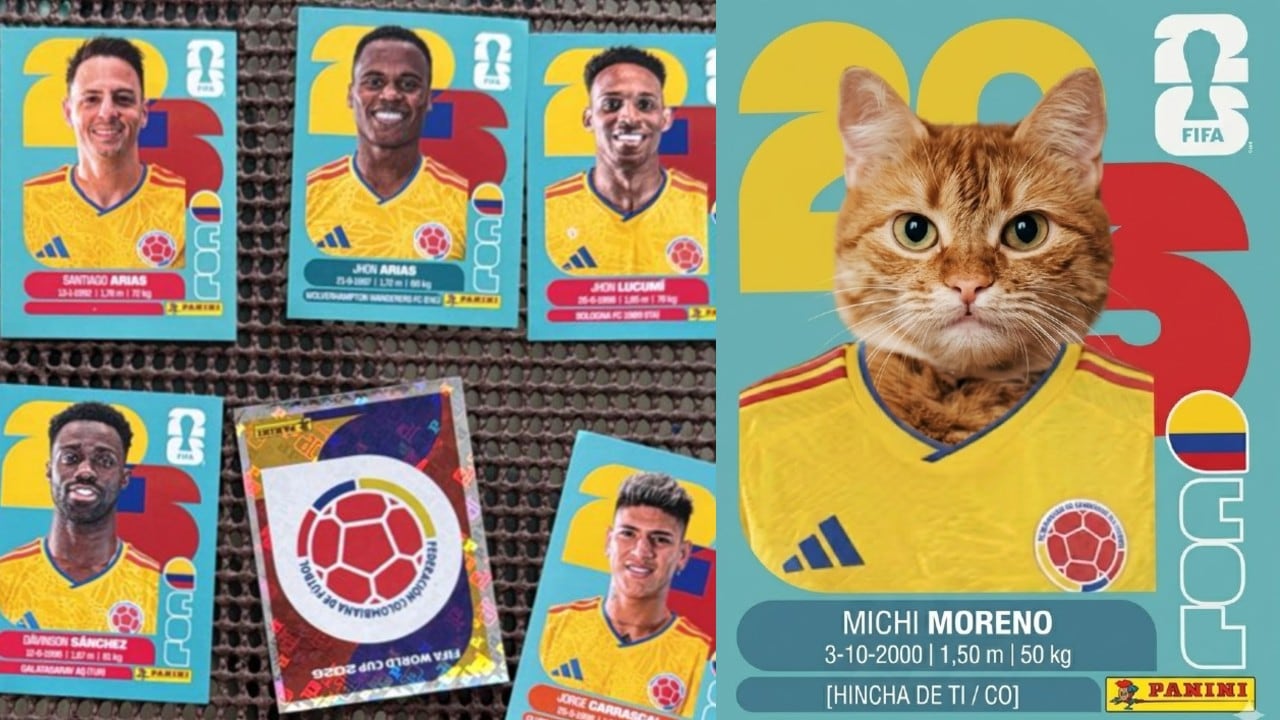 Láminas del álbum Panini.