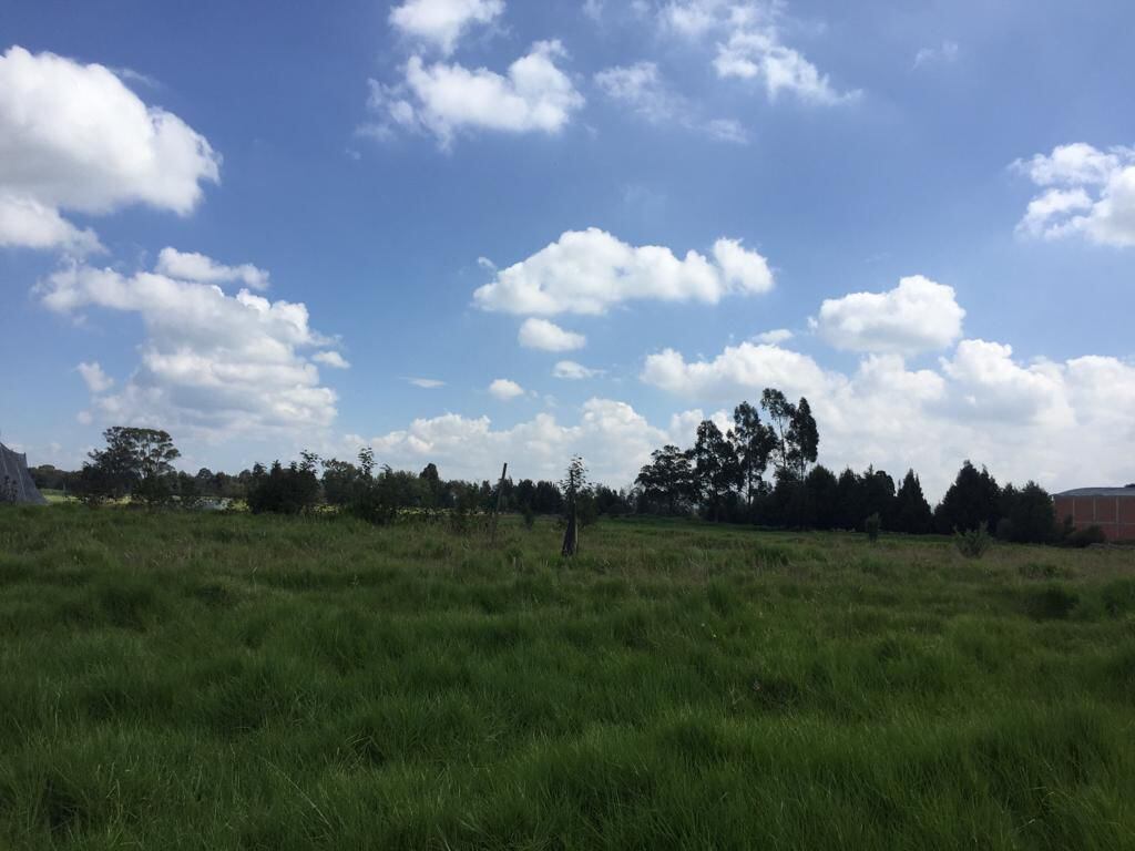 Simón Hernández, abogado de los socios que hacen parte de la liga, explicó que "el antiguo representante legal de la DiBogotana tomó la decisión de apropiarse ilícitamente de los inmuebles que siempre le han pertenecido a esta entidad".