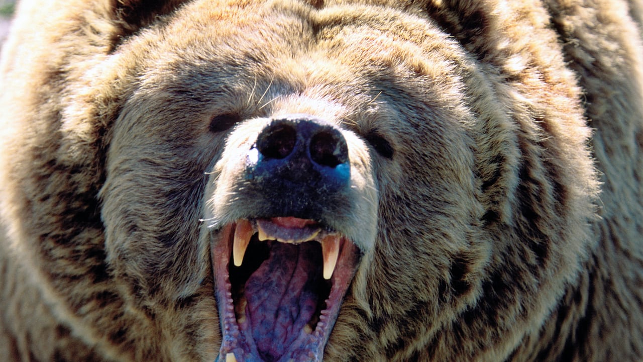 Imagen de referencia, no corresponde al caso en mención.