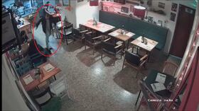 El presunto caso de maltrato animal se dio en la localidad de Chapinero.