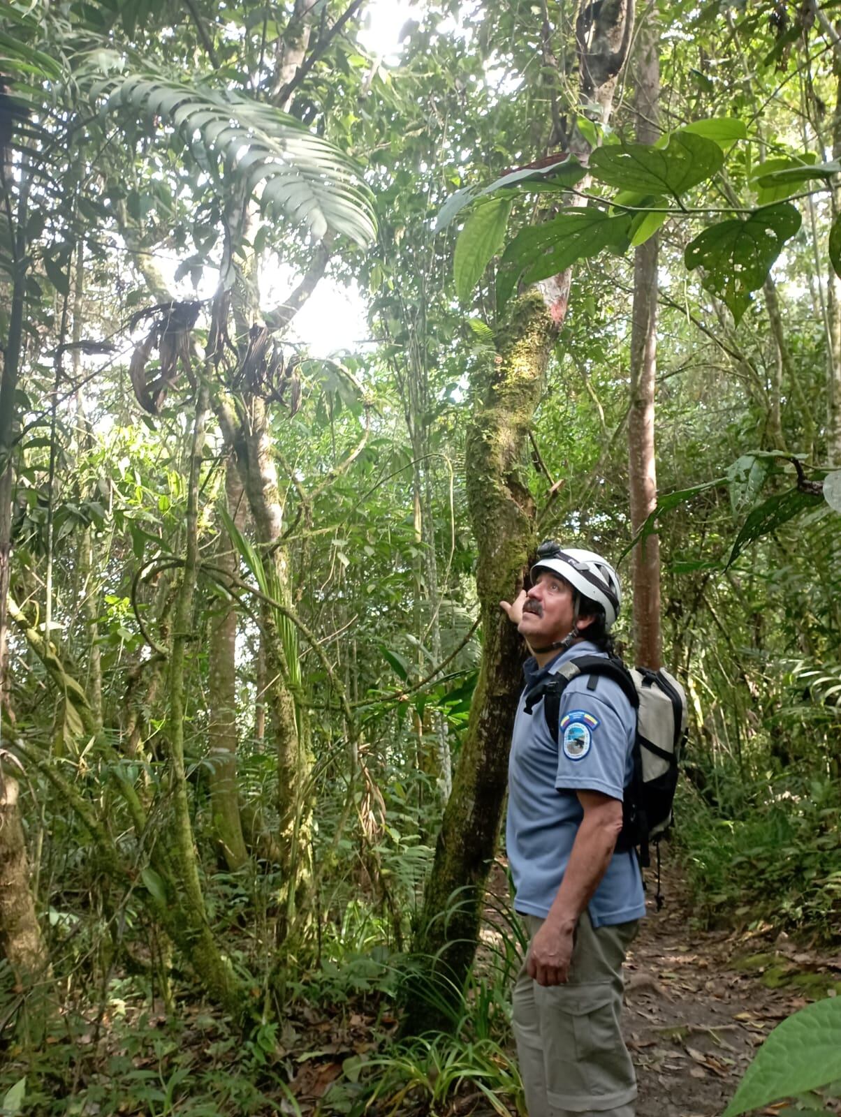 Milton H, el guardabosques.
