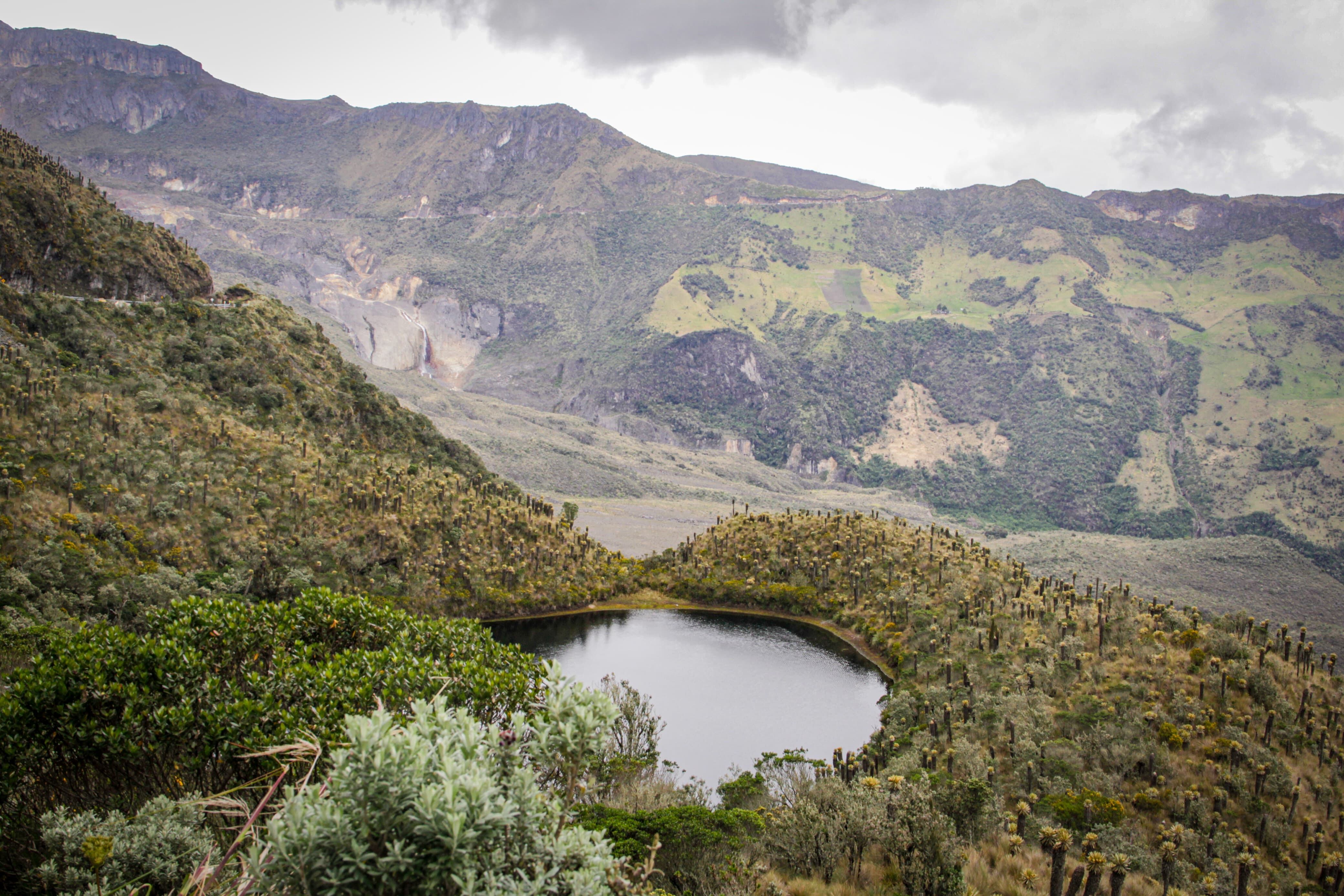 Cortolima hoy se consolida como una corporación resiliente. Gracias a proyectos que combinan ciencia, innovación y trabajo directo con las comunidades, hoy son un referente.