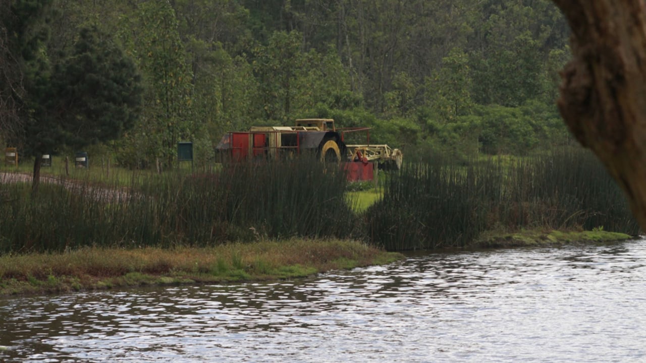 Los recorridos gratuitos permiten conocer un tramo recuperado del río Bogotá y observar de cerca la fauna, la flora y los avances ambientales alcanzados en los últimos años.