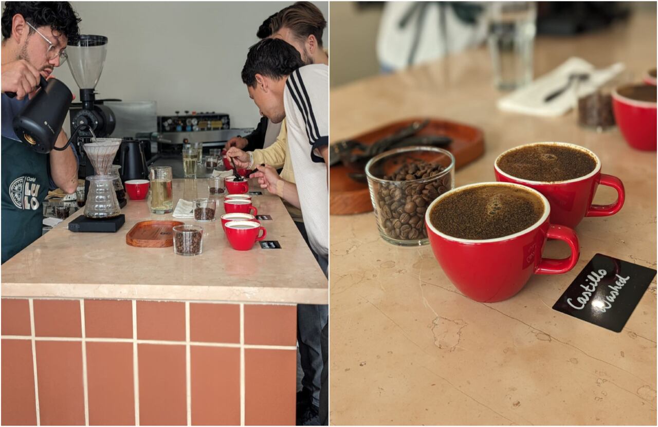 Lulo Café: emprendimiento colombiano en Europa