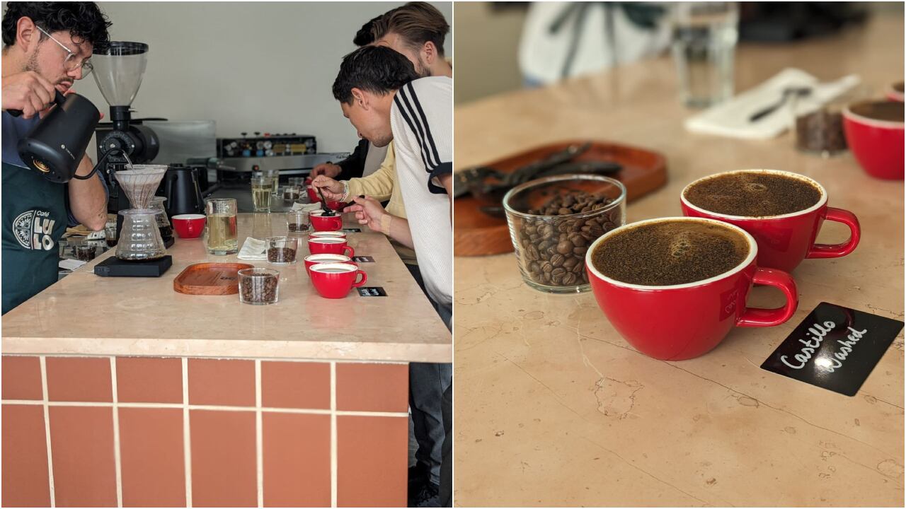 Lulo Café: emprendimiento colombiano en Europa