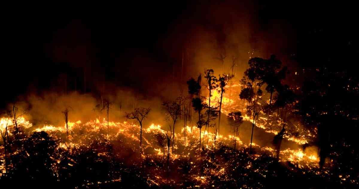 Los incendios en Brasil iniciaron sin que haya sido posible lograr su control durante varios días. Foto: Daniel Beltrá/Greenpeace