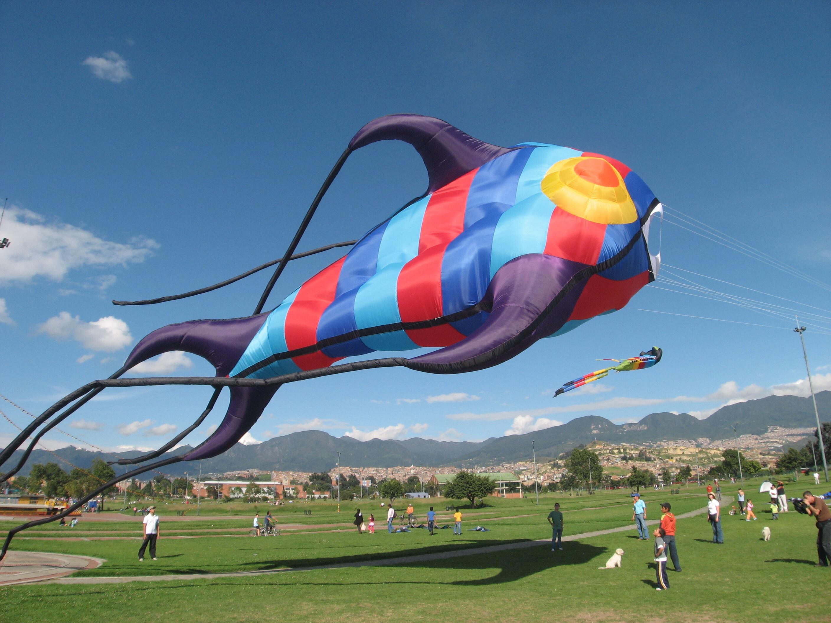 Para volar cometas gigantes siempre se debe tener un punto de anclaje como un carro o árbol. Se estira la tela, se mide el punto de viento y se espera que poco a poco se vaya inflando en tierra. Después la cometa empezará a volar lentamente a medida que se va soltando el hilo.