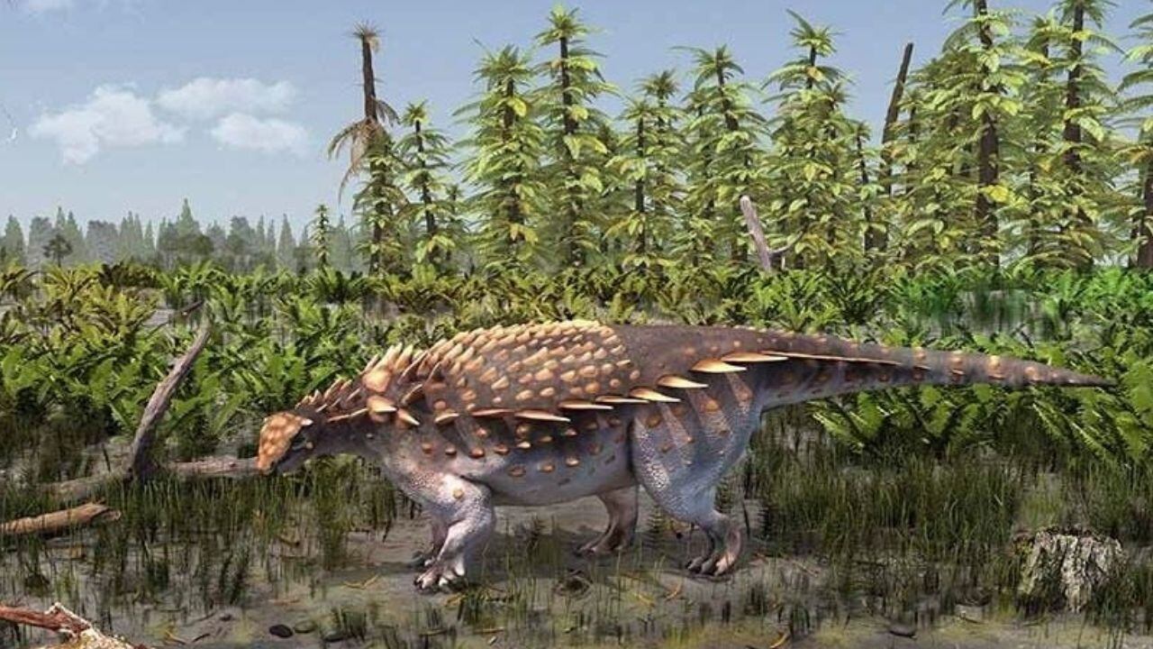Descubren nueva especie de dinosaurio