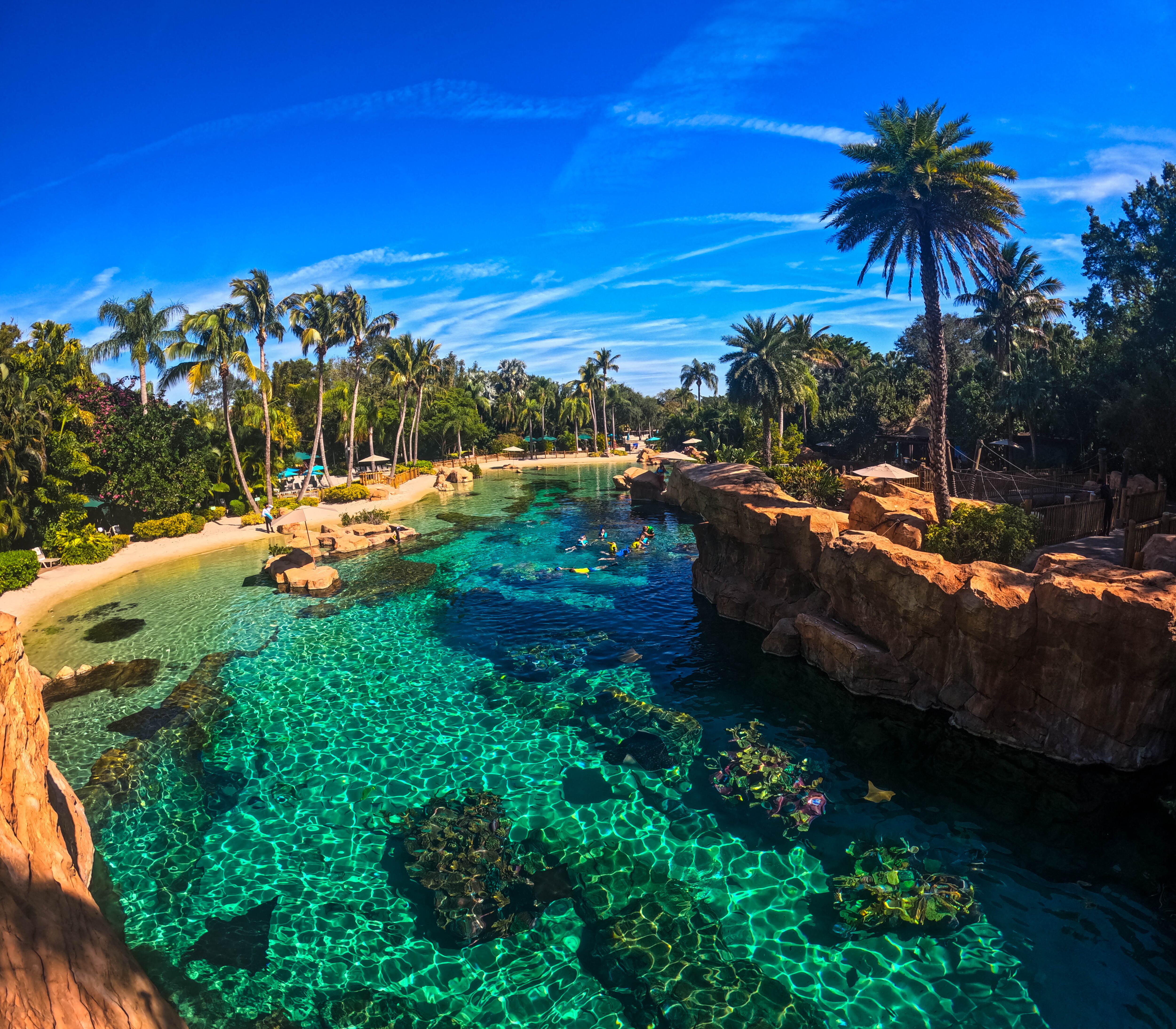 Discovery Cove Orlando.