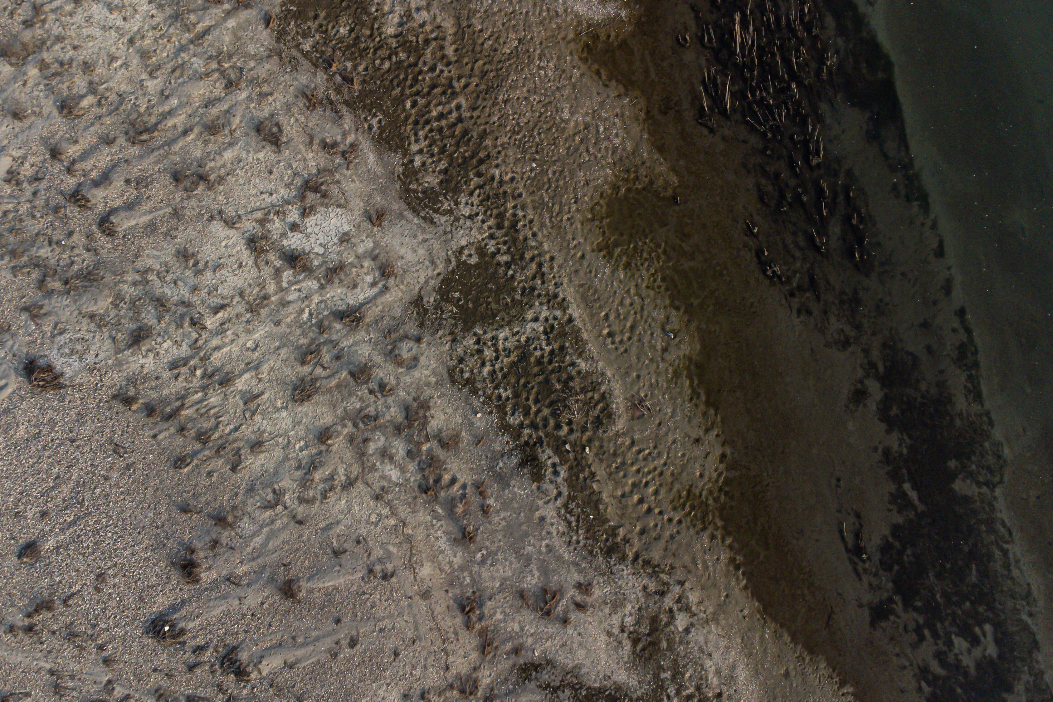 Una foto aérea muestra el lecho del río Po el 21 de febrero de 2023 en Ponte della Becca, en Linarolo, cerca de Pavía. - La falta de nieve en los picos de las montañas circundantes, la ausencia de lluvia durante las últimas seis semanas y las temperaturas suaves: este cóctel explosivo ha provocado que el nivel del agua del lago más grande de Italia caiga a su nivel más bajo en 30 años durante los meses de invierno. (Photo by Piero CRUCIATTI / AFP)