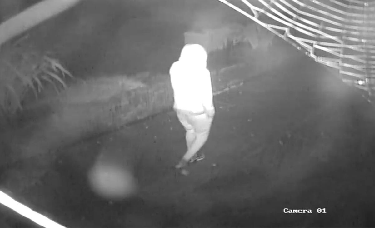 Las imágenes fueron suministradas a la policía local para dar con los ladrones.