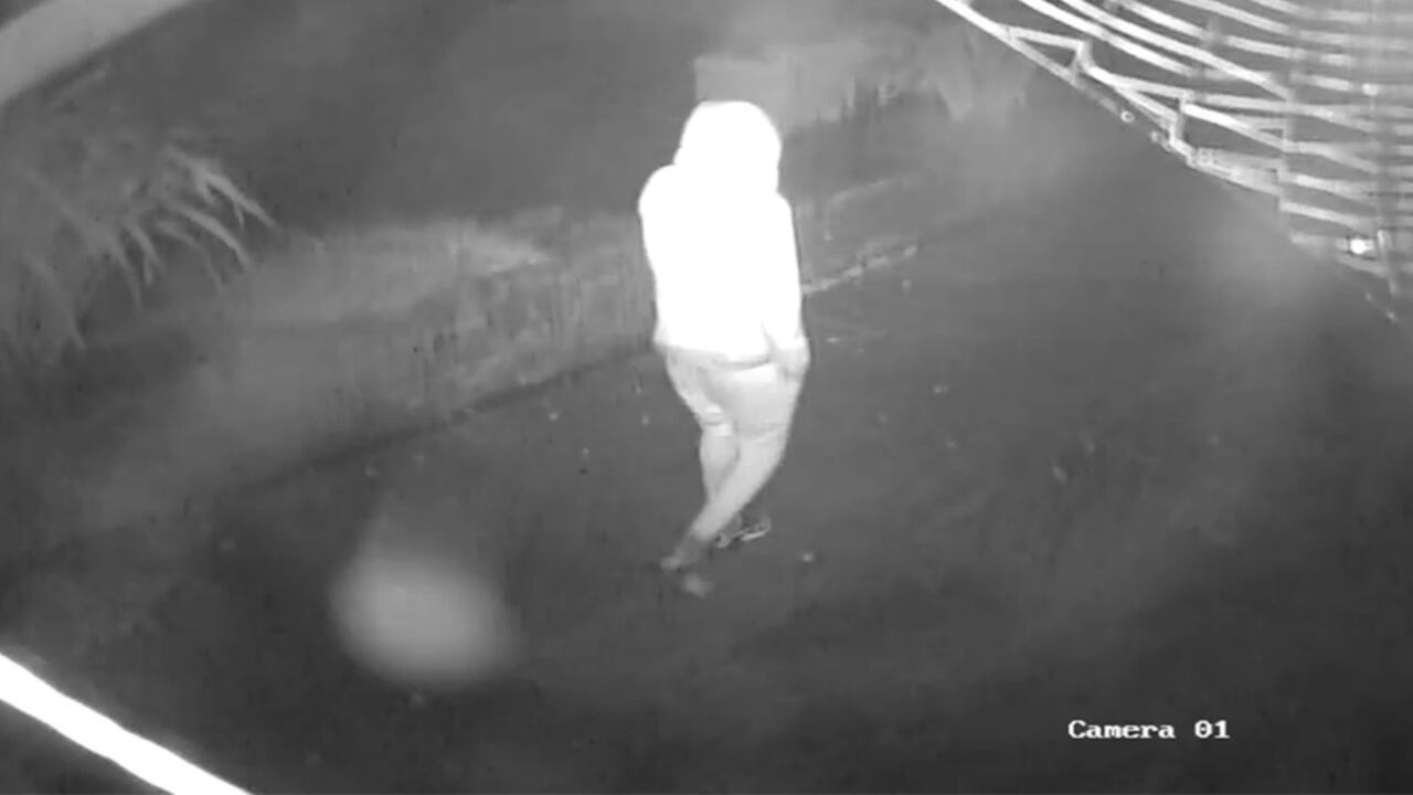 Las imágenes fueron suministradas a la policía local para dar con los ladrones.