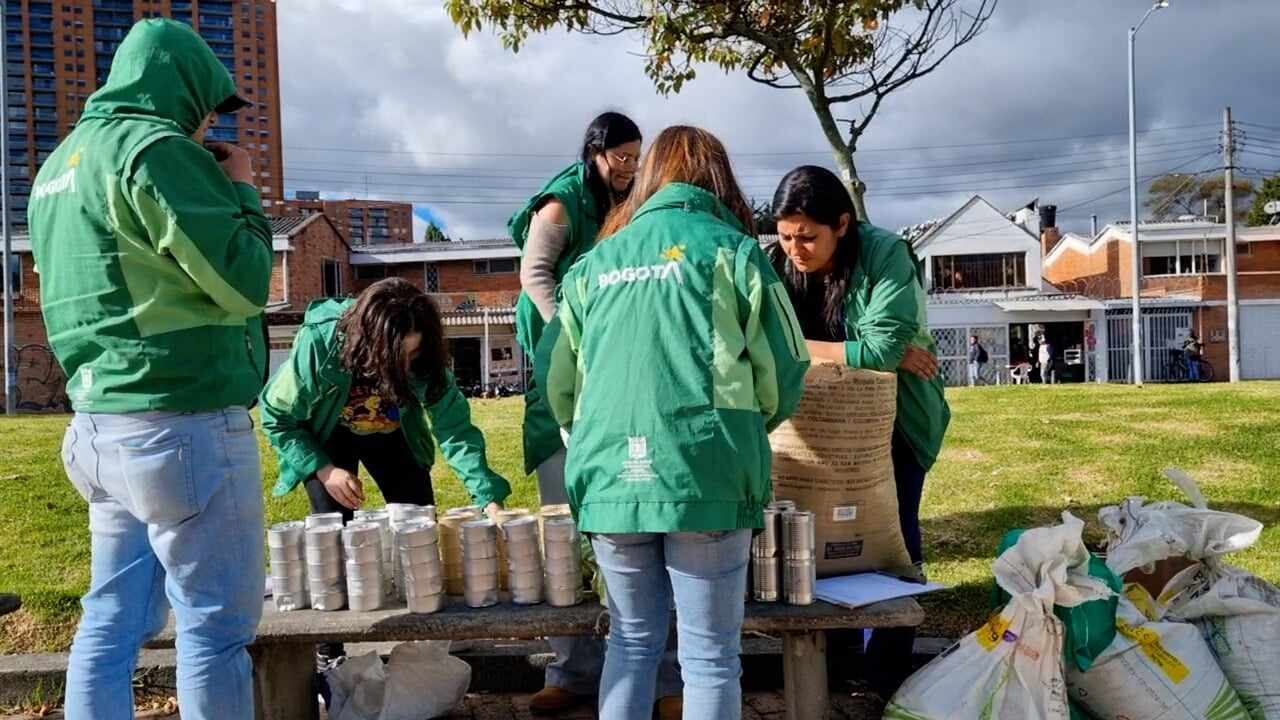 Desde el IDPYBA se le brinda atención a los perros callejeros.