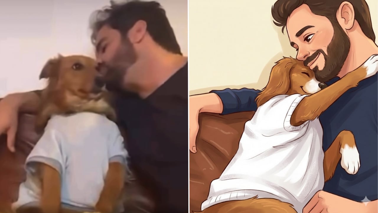 Usuarios destacaron la honestidad de los animales al mostrar sus emociones.