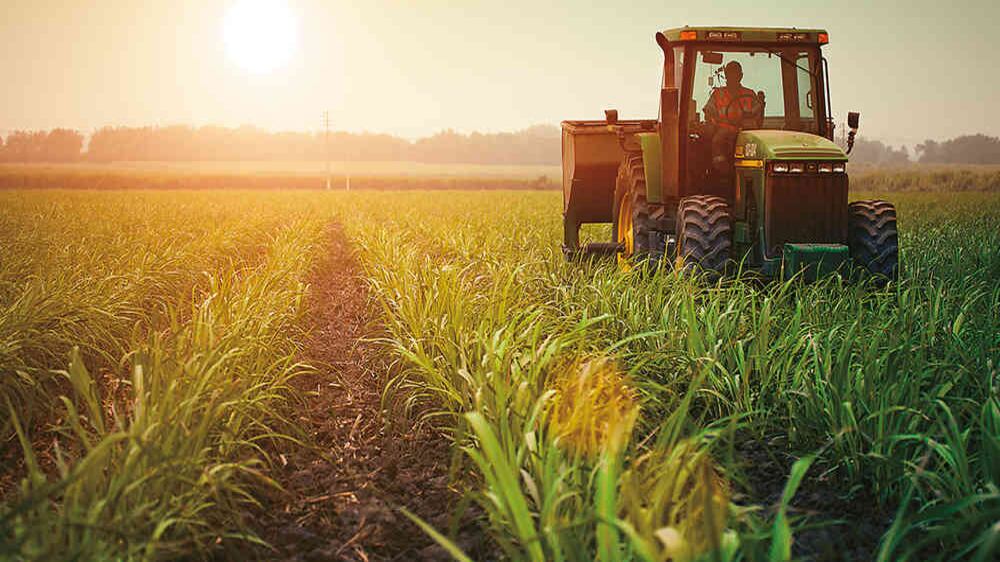 Dulce historia con gusto peruano