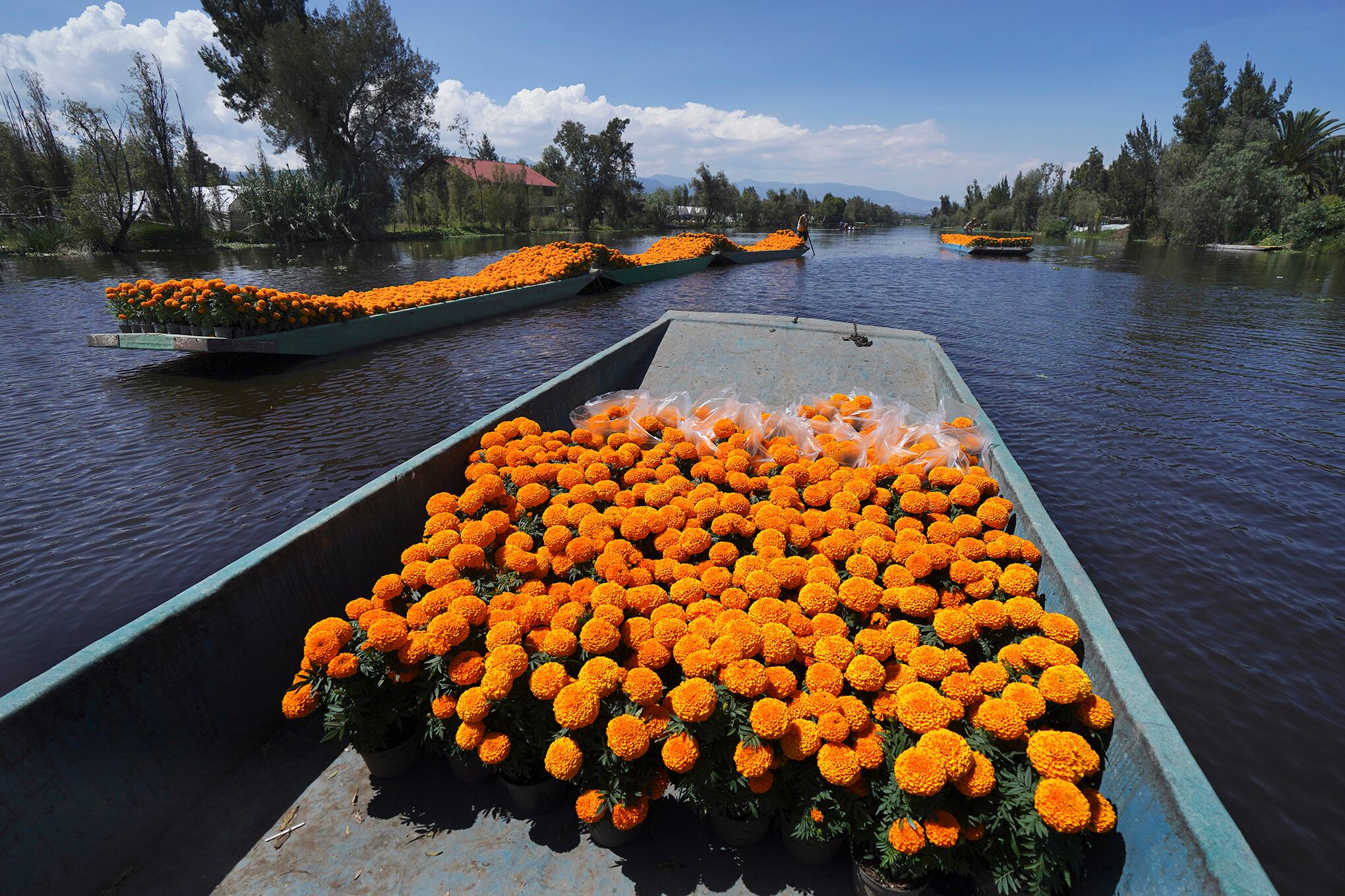 Fotos de la semana 15 octubre