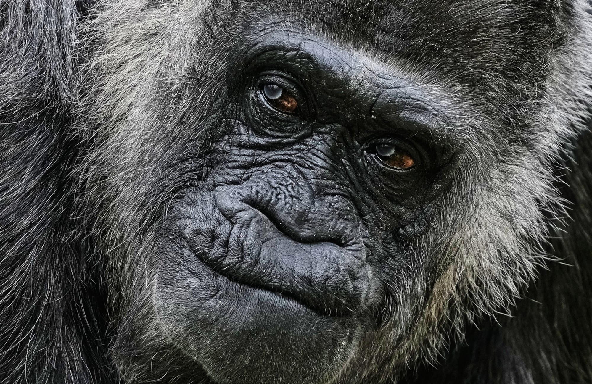 Fotos de la semana 17 abril