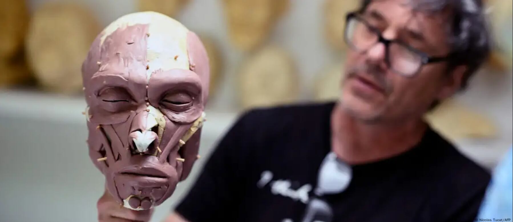 Una figura del pasado revive emociones actuales en Bélgica.