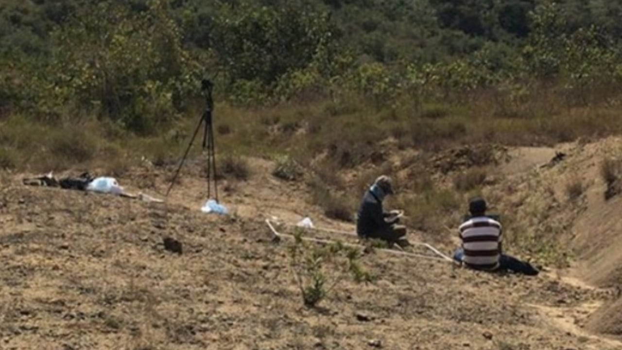 Investigadores colombianos hallaron una vértebra fósil atribuida a un pliosáurido, un gran depredador marino que vivió hace más de 135 millones de años.