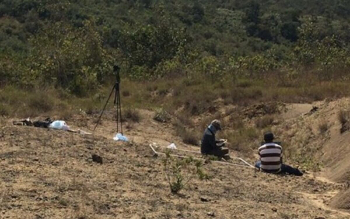 Investigadores colombianos hallaron una vértebra fósil atribuida a un pliosáurido, un gran depredador marino que vivió hace más de 135 millones de años.