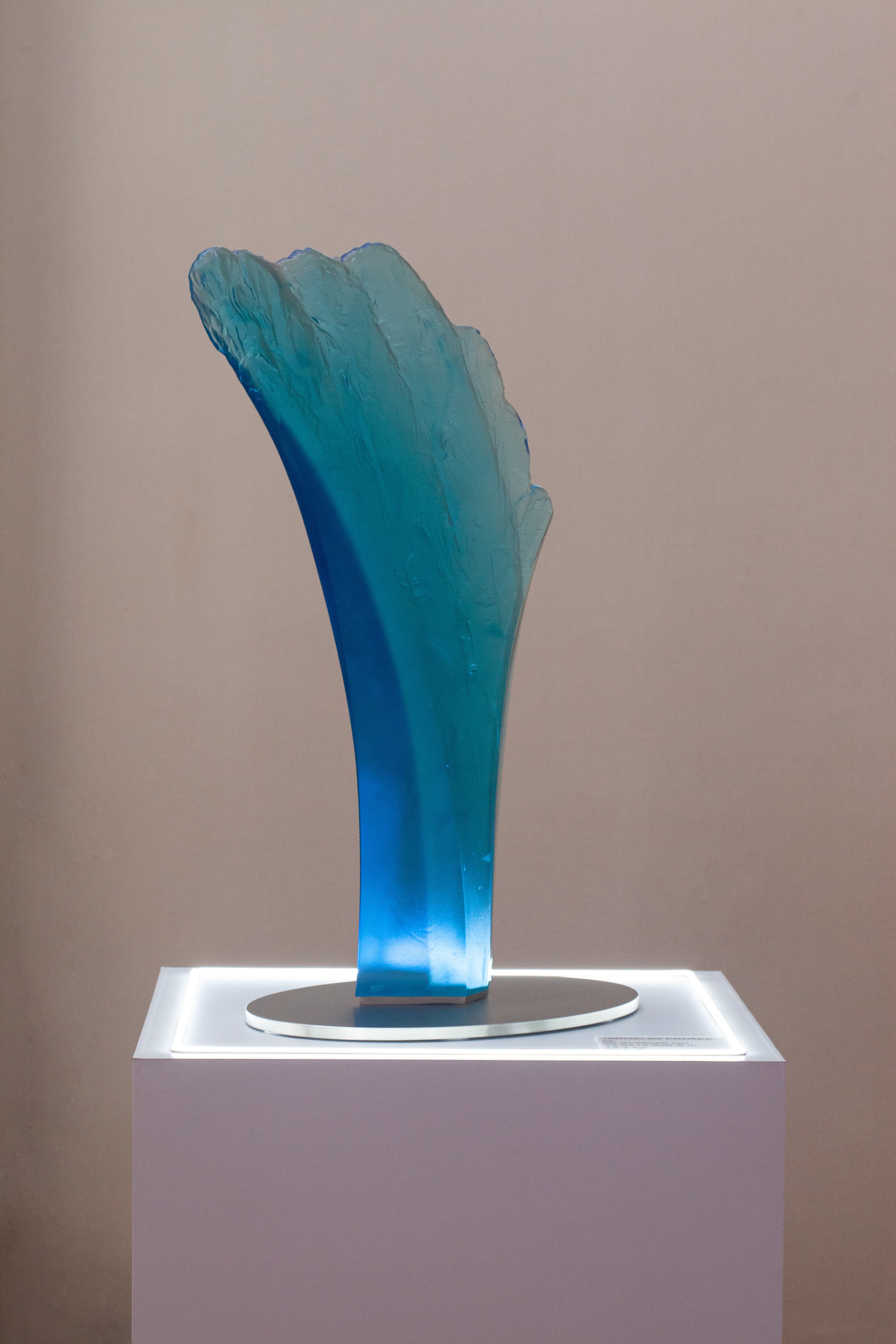 EXPOSICIÓN EN SERVIENTREGA