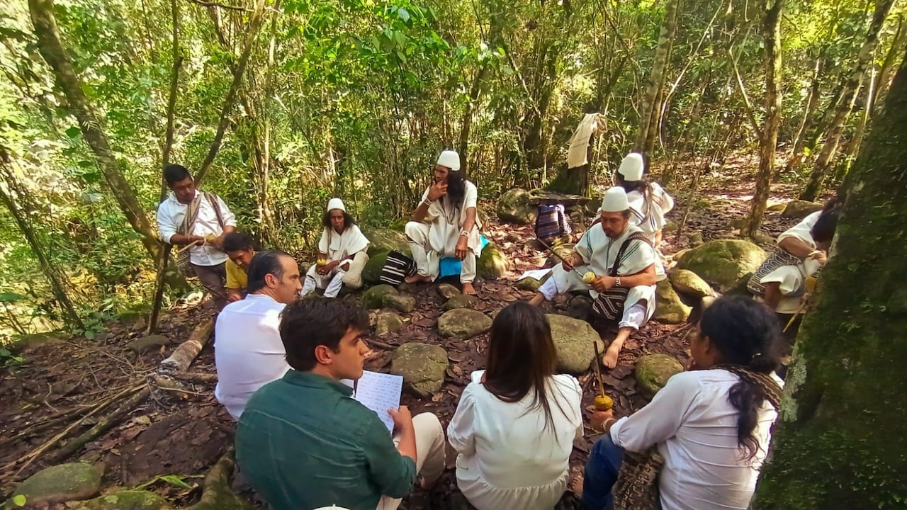 La estructura del emprendimiento incluye el apoyo a las empresas en la implementación de planes integrales de restauración y recuperación de los terrenos degradados o deforestados.