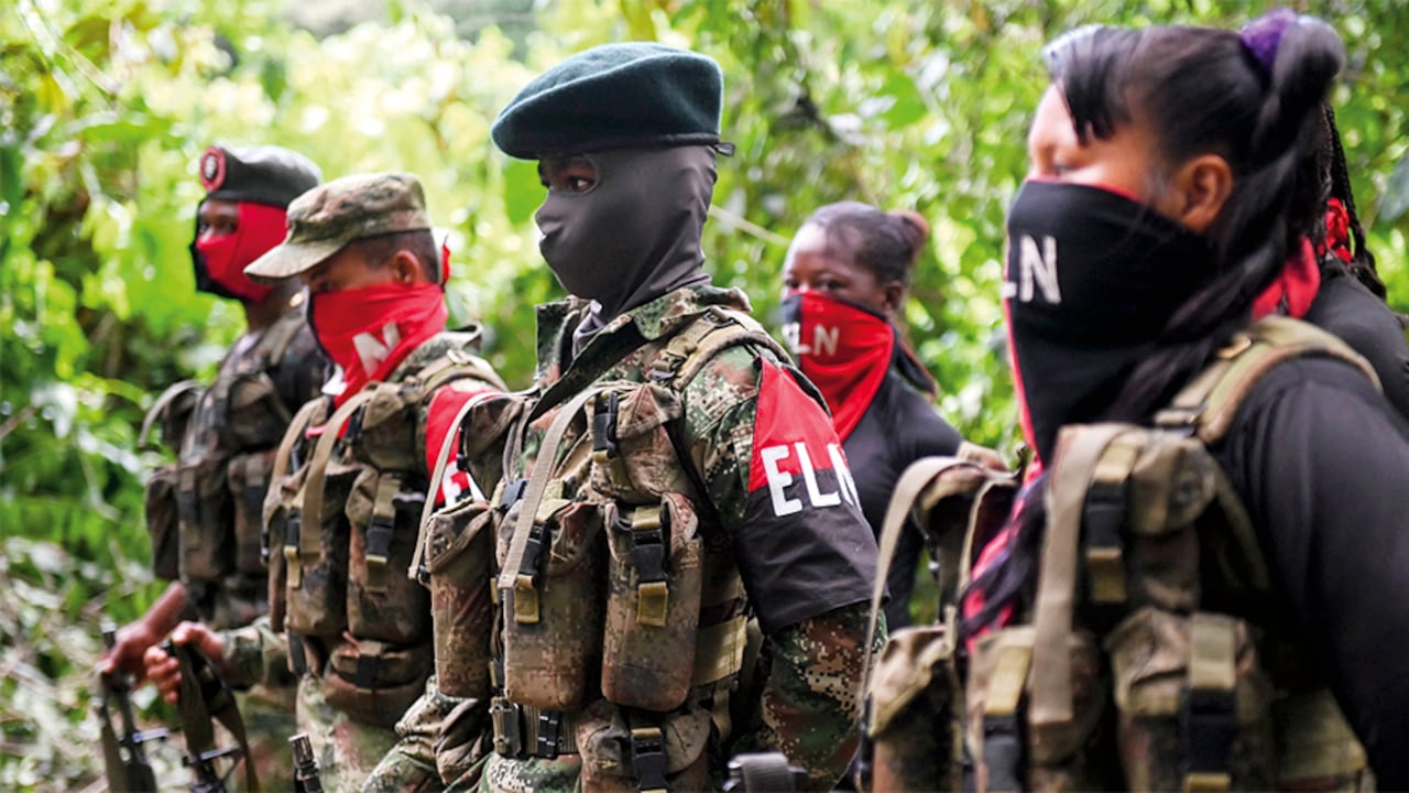 Atención: ELN anuncia cese al fuego unilateral por elecciones presidenciales