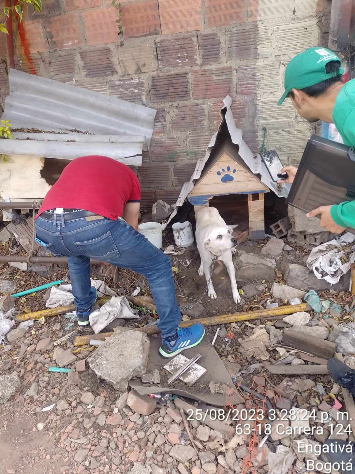 A Sally le diagnosticaron problemas dermatológicos, oídos sucios, sobrecrecimiento de uñas, pelo hirsuto