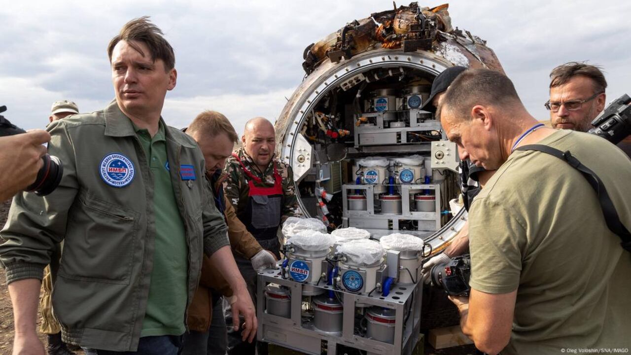 El satélite Bion-M nº 2, apodado “Arca de Noé”, volvió a la Tierra tras un mes en órbita con un cargamento biológico.