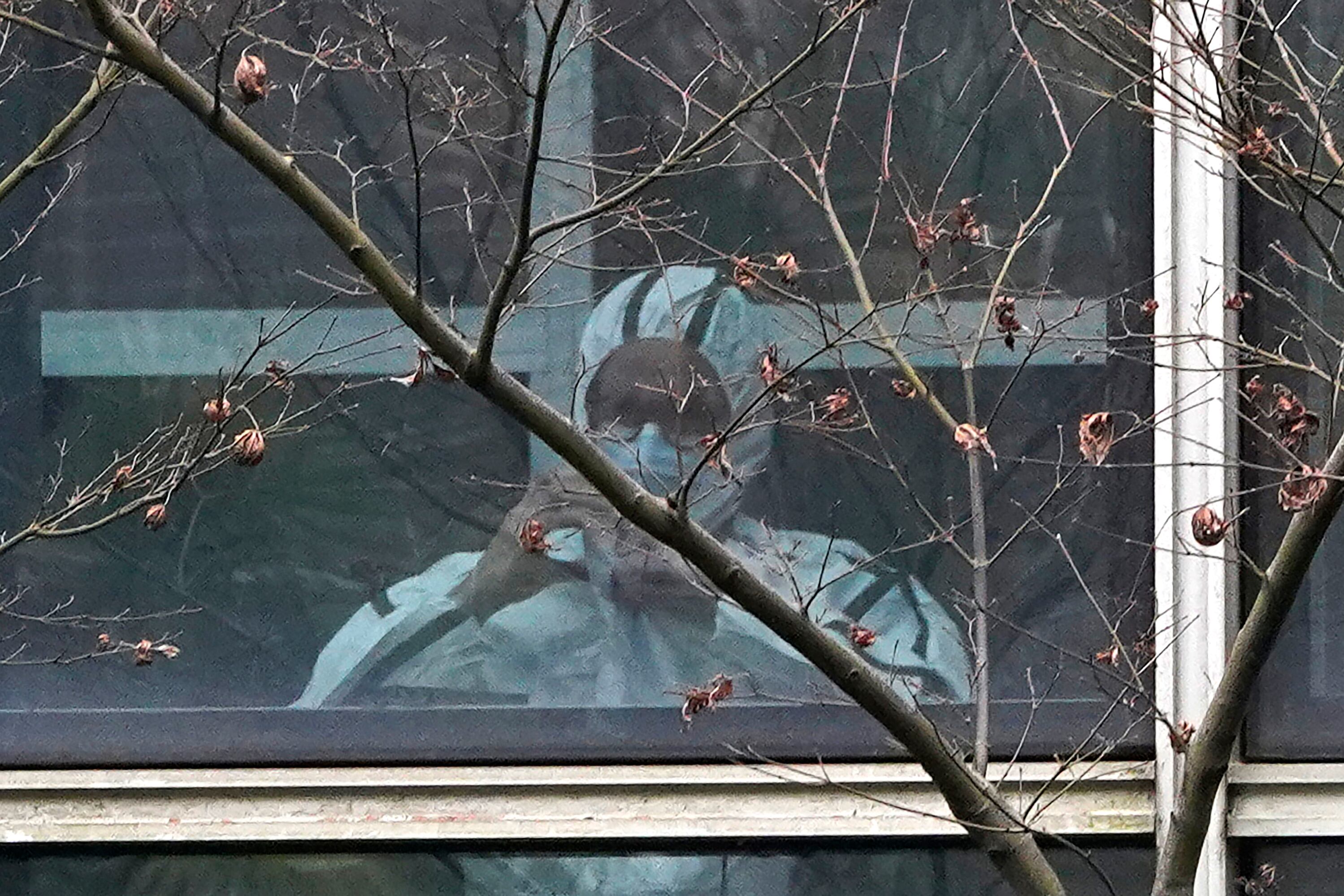 Un miembro del equipo de la Organización Mundial de la Salud se ve tras una ventana con equipo de protección, durante una visita de campo al Centro de Control y Prevención de Enfermedades de Animales en Hubei, en Wuhan, en la provincia central china de Hubei. (AP Foto/Ng Han Guan, Archivo)