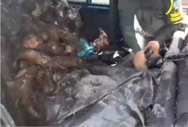 Captura e incautación de armas de fuego y elementos de intendencia del EMC de las FARC en una vía nacional